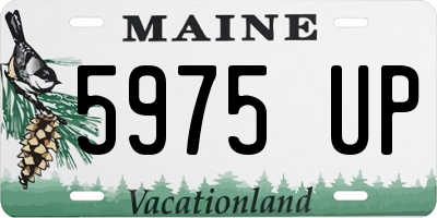 ME license plate 5975UP