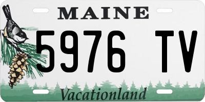 ME license plate 5976TV