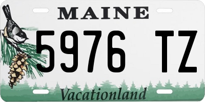 ME license plate 5976TZ