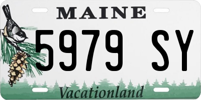 ME license plate 5979SY