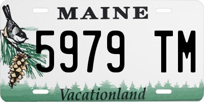 ME license plate 5979TM