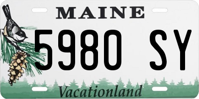 ME license plate 5980SY