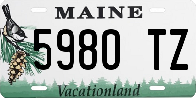 ME license plate 5980TZ