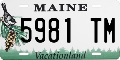 ME license plate 5981TM