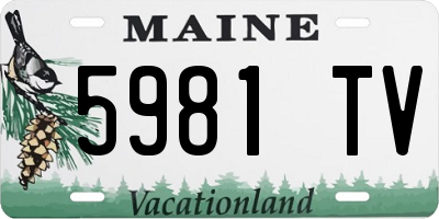 ME license plate 5981TV