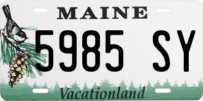 ME license plate 5985SY