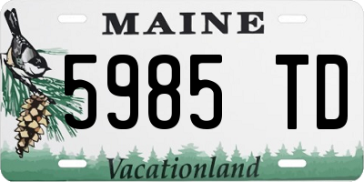 ME license plate 5985TD
