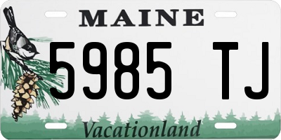 ME license plate 5985TJ