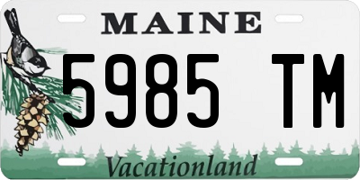 ME license plate 5985TM