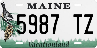 ME license plate 5987TZ