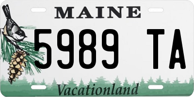 ME license plate 5989TA