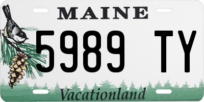 ME license plate 5989TY