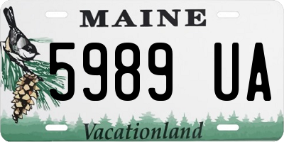 ME license plate 5989UA