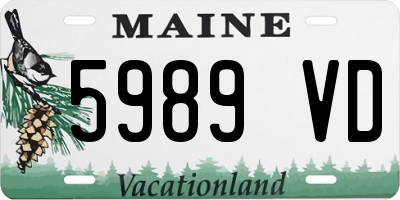 ME license plate 5989VD