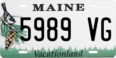 ME license plate 5989VG