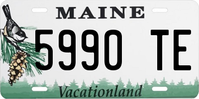 ME license plate 5990TE