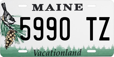 ME license plate 5990TZ