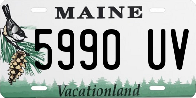 ME license plate 5990UV