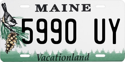 ME license plate 5990UY