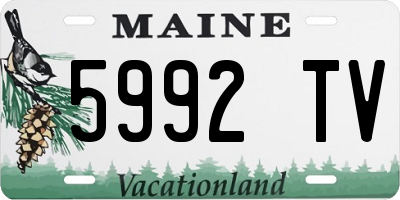 ME license plate 5992TV