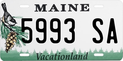 ME license plate 5993SA