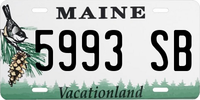 ME license plate 5993SB