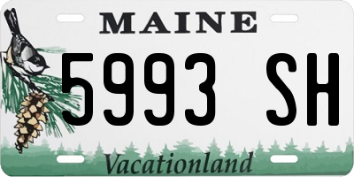 ME license plate 5993SH