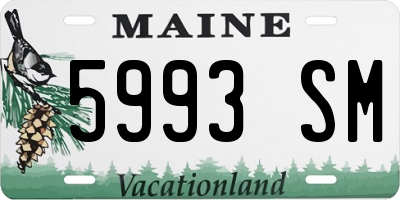 ME license plate 5993SM
