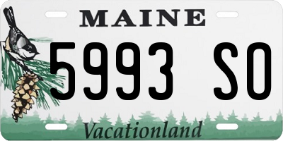 ME license plate 5993SO