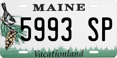ME license plate 5993SP