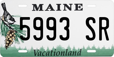 ME license plate 5993SR