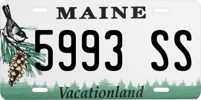ME license plate 5993SS