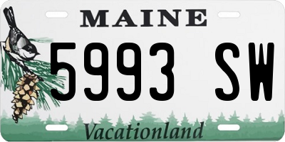 ME license plate 5993SW