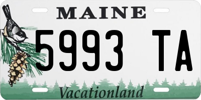ME license plate 5993TA