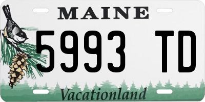 ME license plate 5993TD