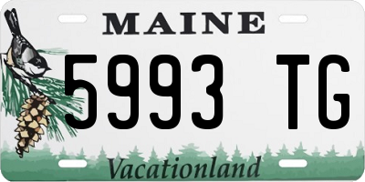 ME license plate 5993TG