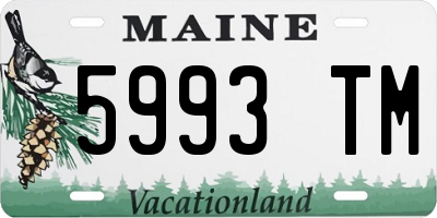 ME license plate 5993TM