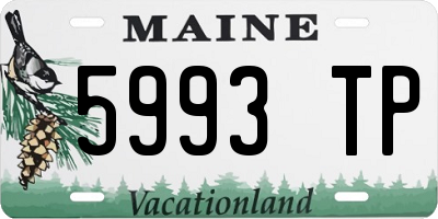 ME license plate 5993TP