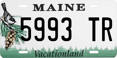 ME license plate 5993TR