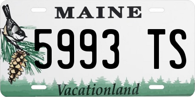 ME license plate 5993TS