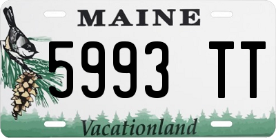 ME license plate 5993TT