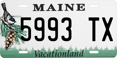 ME license plate 5993TX