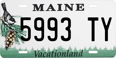 ME license plate 5993TY