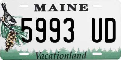 ME license plate 5993UD