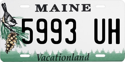 ME license plate 5993UH