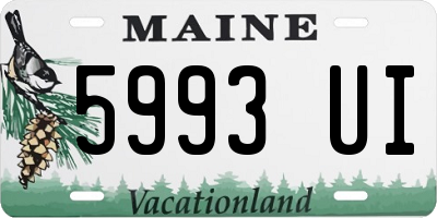 ME license plate 5993UI