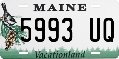 ME license plate 5993UQ