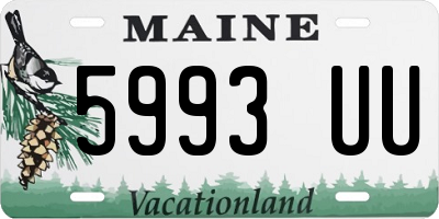 ME license plate 5993UU