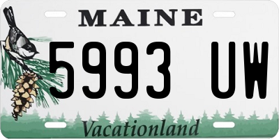 ME license plate 5993UW
