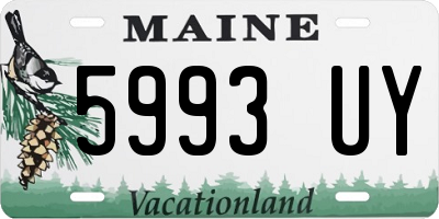 ME license plate 5993UY